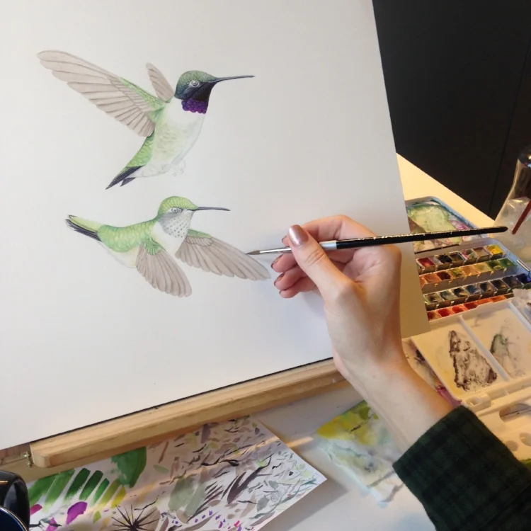 Progress on Black-chinned hummingbird. Image courtesy of the artist.