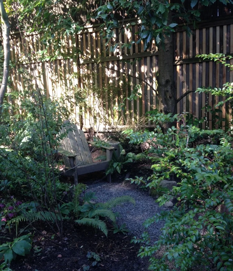 A tucked-away spot to watch birds.