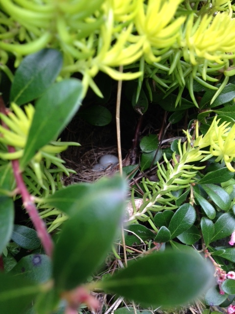 Closer! (Photo by Noel Angell)