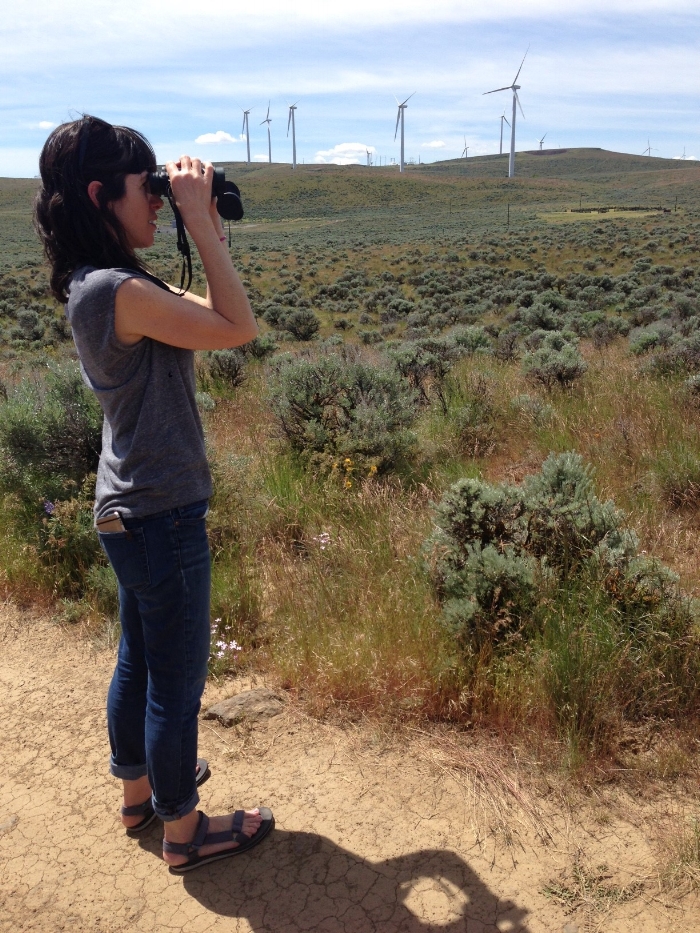 Cambria at Quilomene, wind turbines on the horizon.