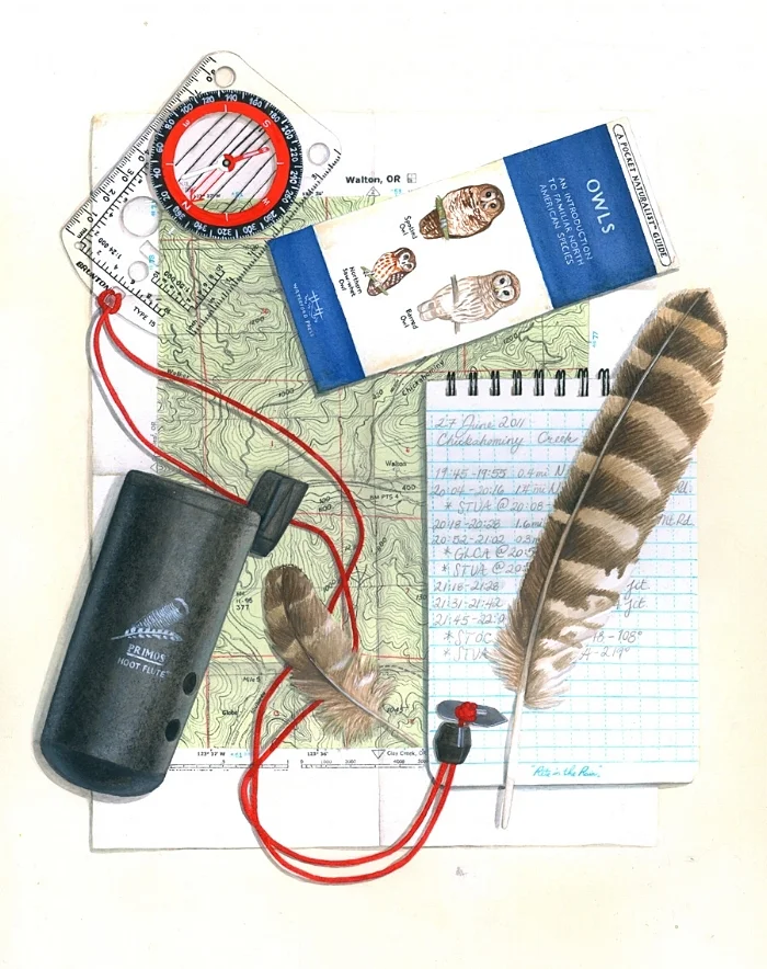 Spotted owl survey kit; artwork by Laurel Mundy.