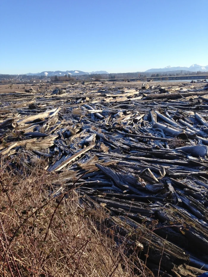 Gorgeous log flow at Eide Road, Stanwood. Cascade range in the distance.