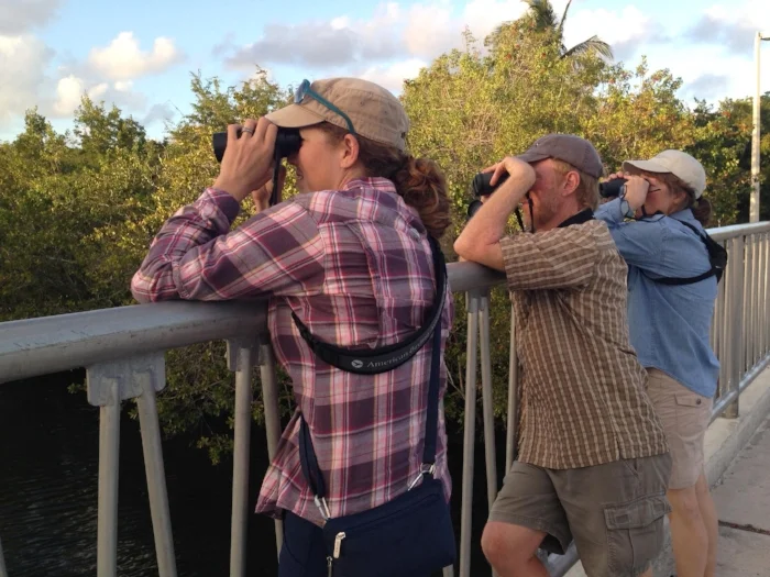 Looking at American Crocodile and West Indian Manatee on NIA’s Miami Area Tour, Miami, FL. Photo by Angel Abreu.