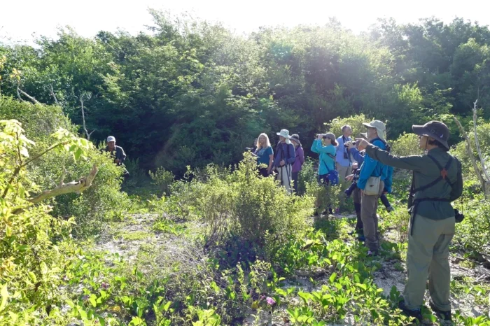 Nature is Awesome group looking at Bee Hummingbird (world’s smallest bird) in Guanahacabibes, Cuba. Tania (one of NIA’s female Cuban guides) is in the forefront of this photo. Mariel Abreu is in the center. Photo by Angel Abreu.
