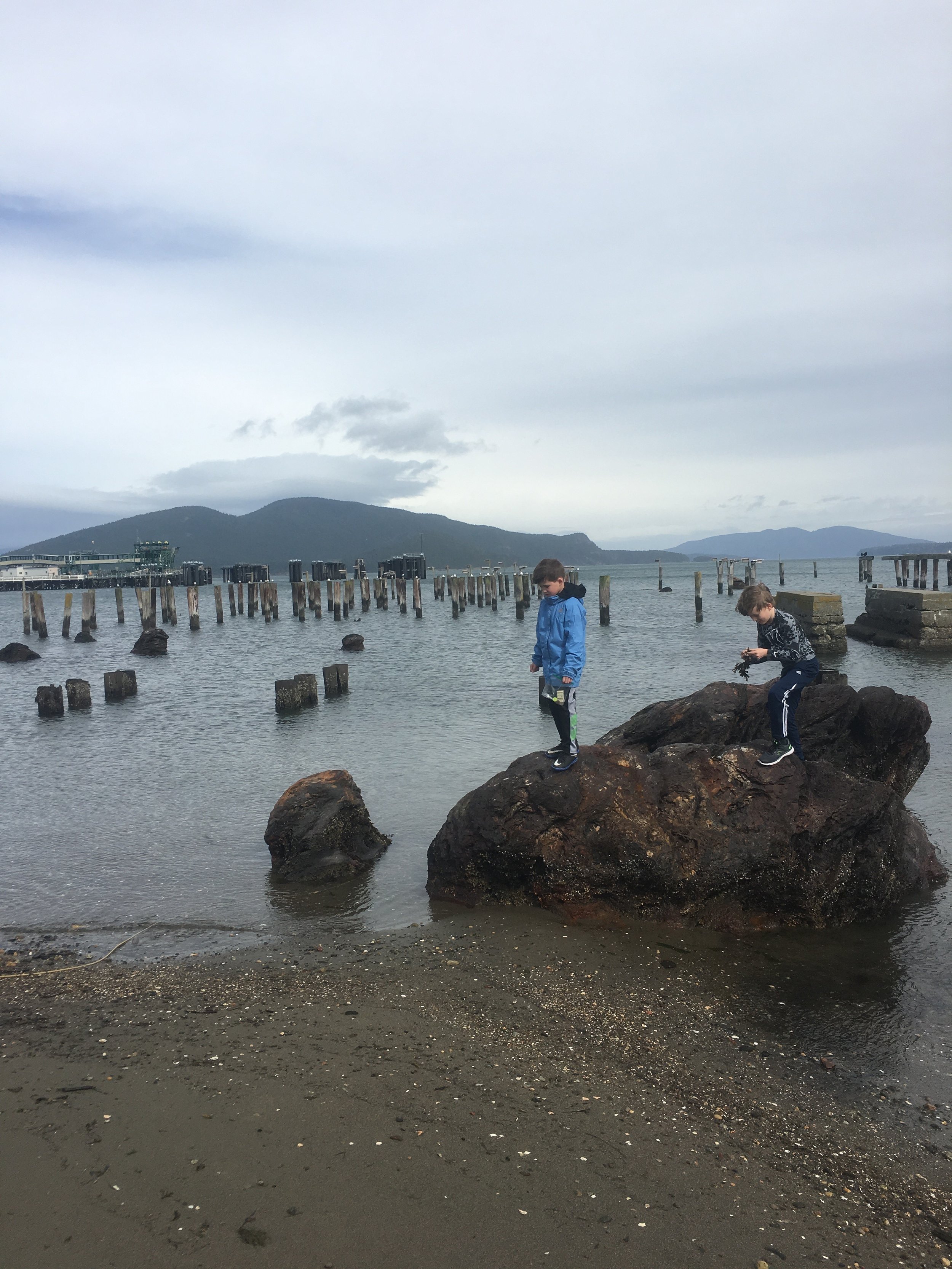 GEJEVSKI ZMENKI THRISSUR