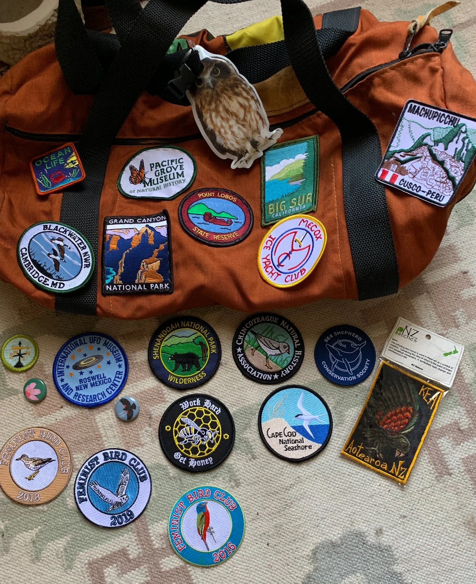 Molly Adams, founder of Feminist Bird Club (FBC) pin and patch collection, including 3 from FBC (bottom left).