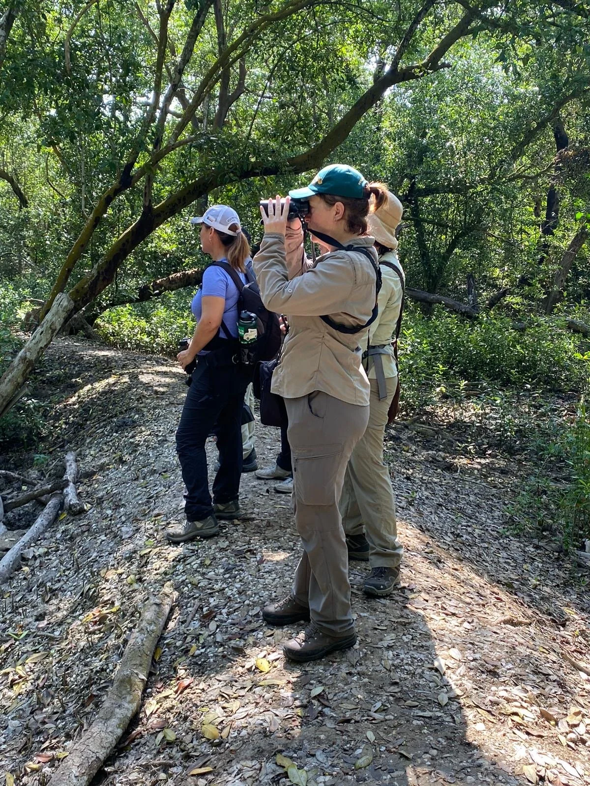 Ruth Miller in the foreground, in her appropriate for the climate attire. Craghopper Nosilife shirt and Rohan pants. Photo by Wendy Clark.