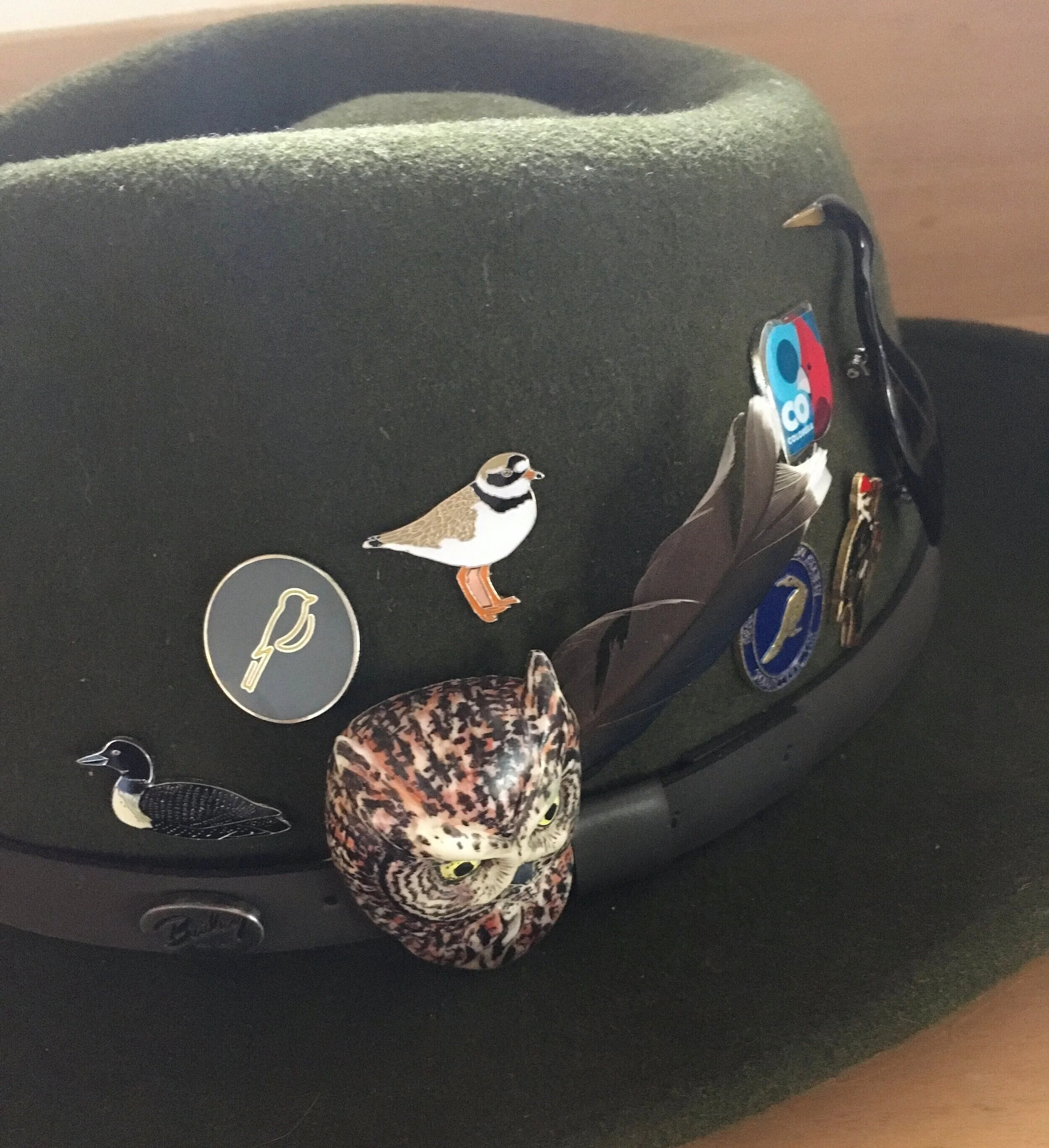 My favorite winter birding hat decked out in pins from Royal Society for the Protection of Birds (RSPB), Seattle Audubon, Phoebes Birding, ProColombia and a hand carved screech owl by my dad, Tony Angell.