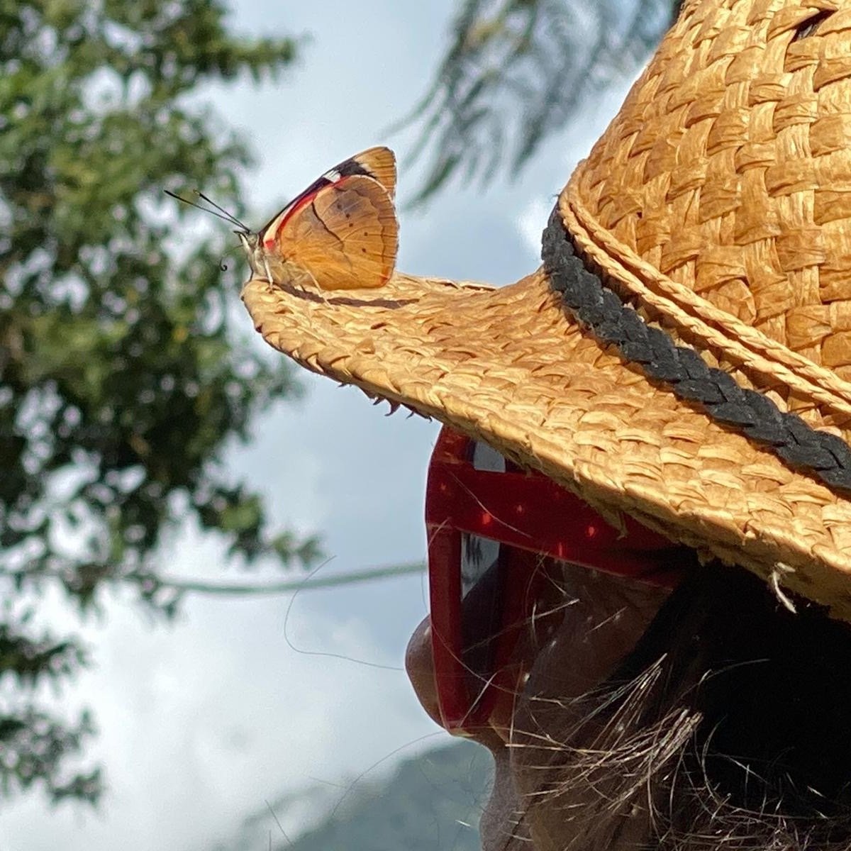 What to Wear Birding When You Want to Represent, bryonyangell.com