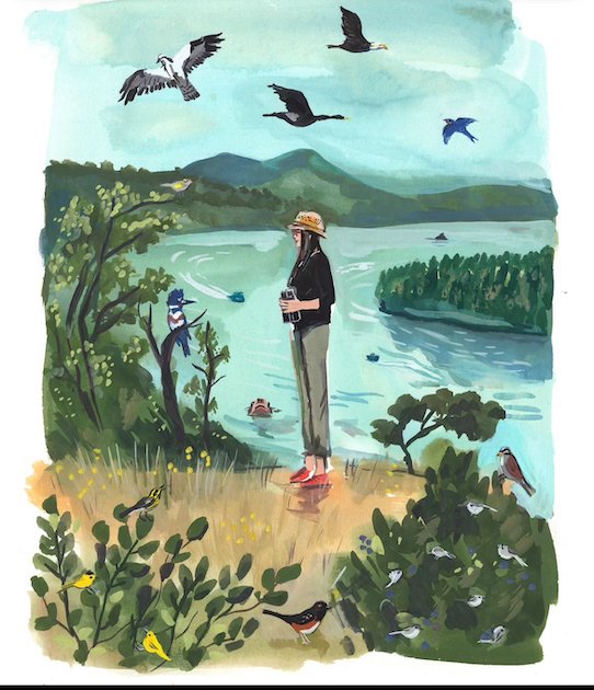 The Migratory Suiter, Nov/Dec 25 BWD