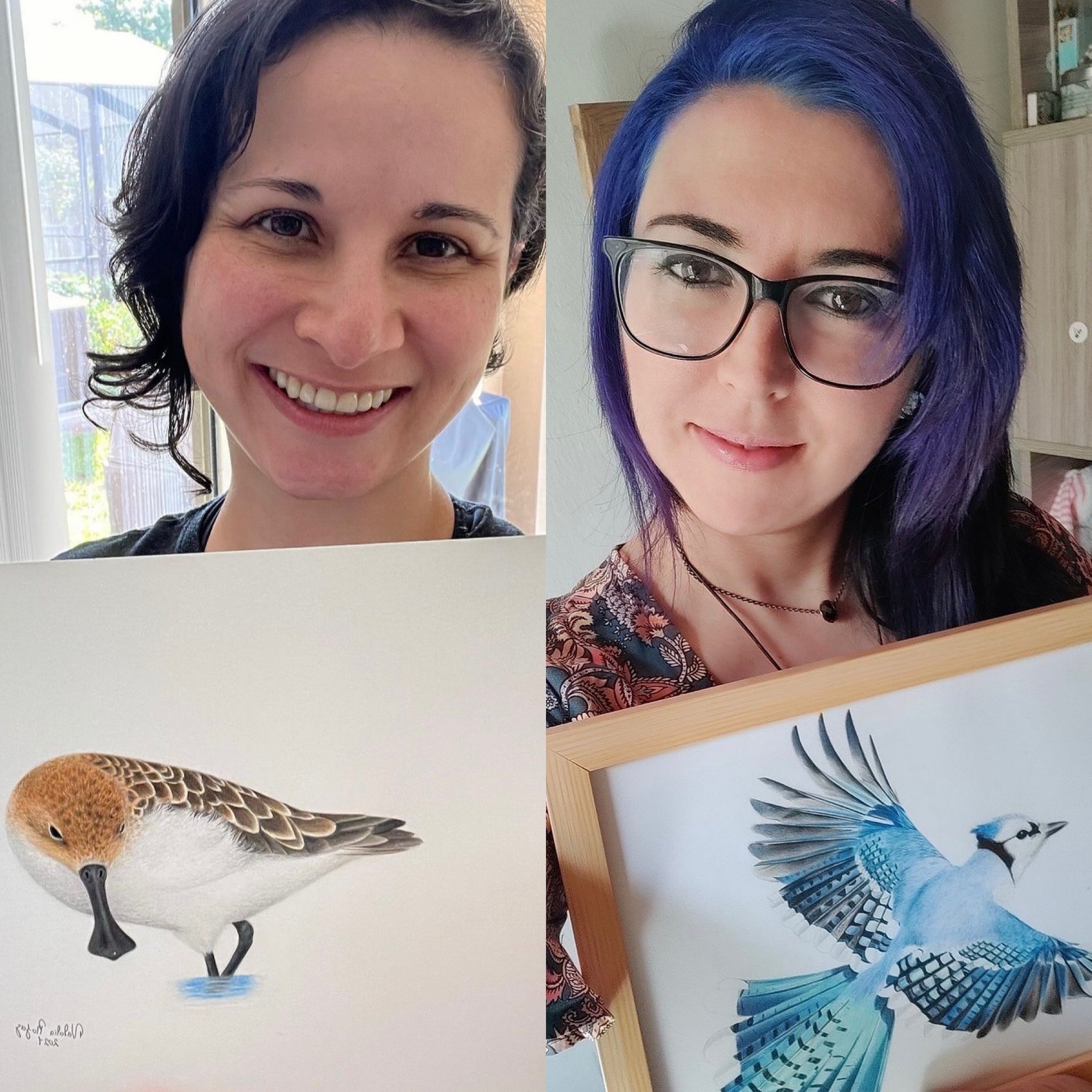 From Board Game to Beautiful Book: The women Wingspan artists