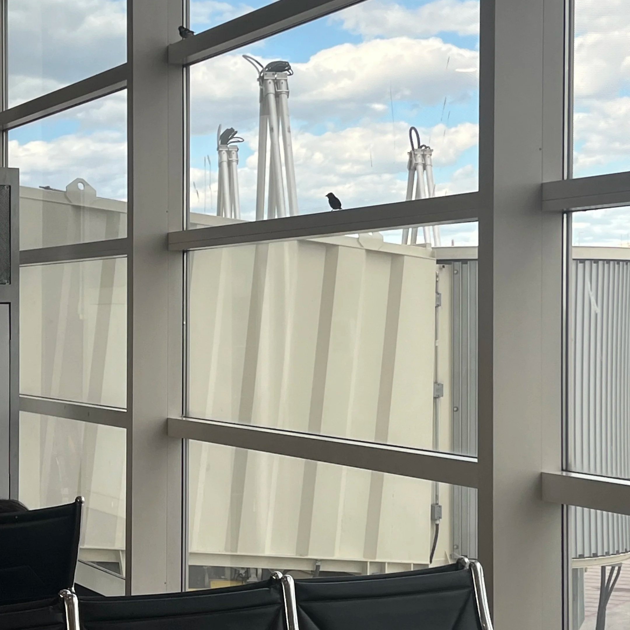 Two house sparrows sit in window ledges at the Detroit Metropolitan Airport.