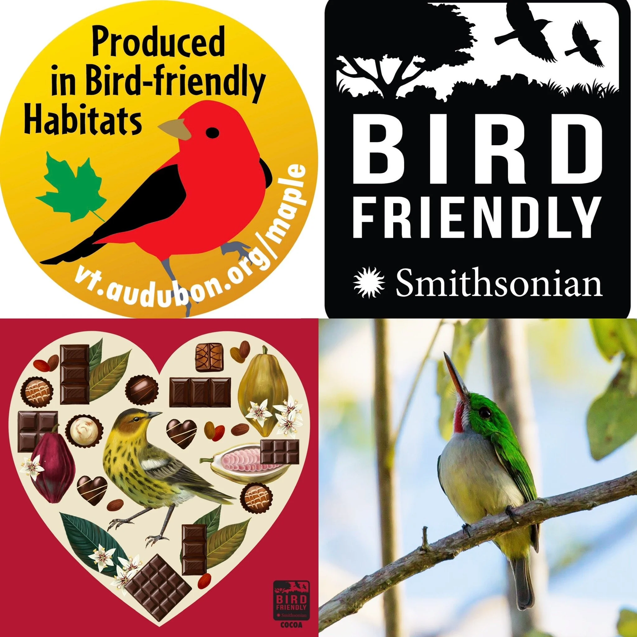 Where to Buy Bird Friendly
