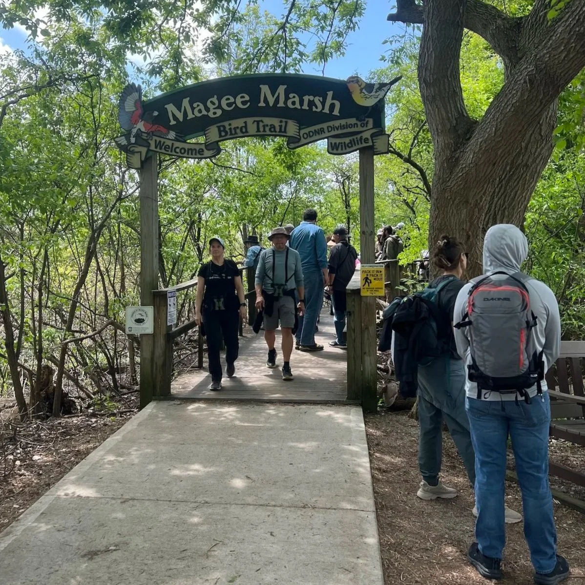 Entrance arch reading "Magee March Bird Trail" and boardwalk into wetland. People in foreground and background carrying binoculars and backpacks.