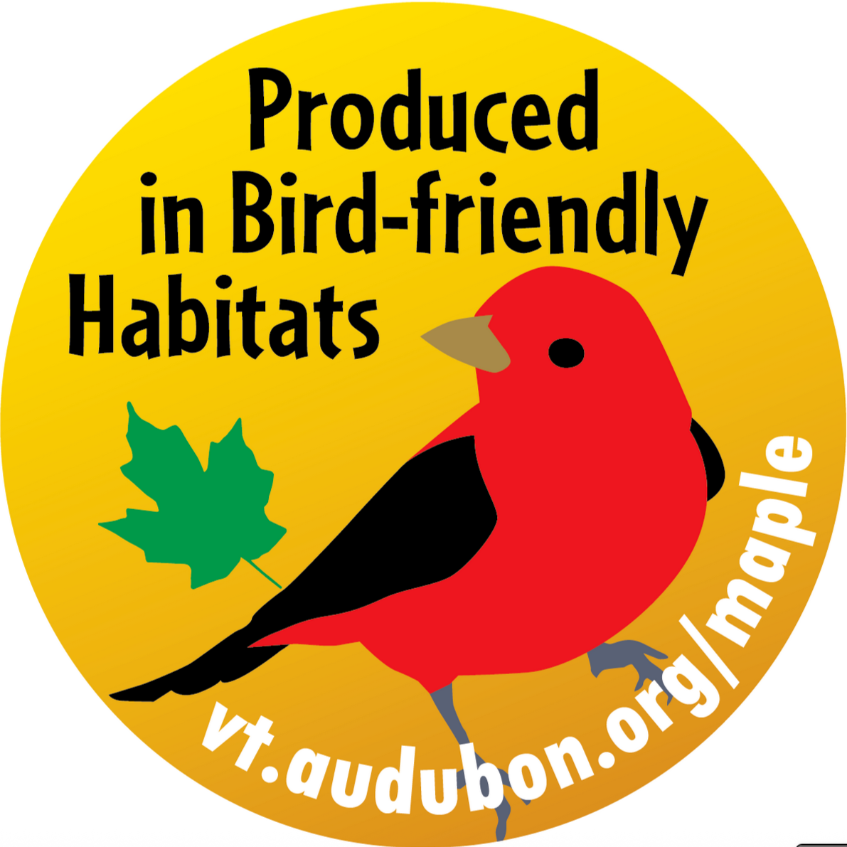 Screenshot 2026-02-06 at 9.36.55 PM.png