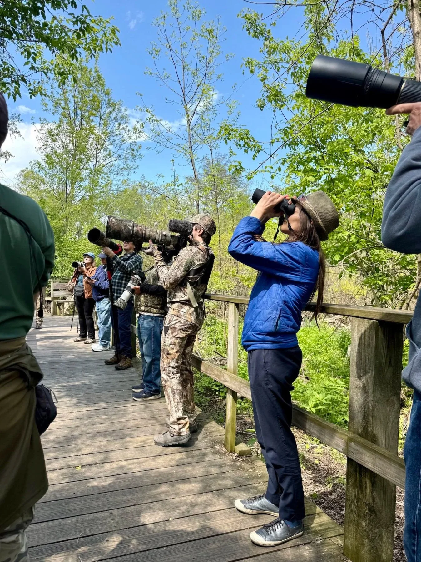 White woman in foreground with bincoulars raised, standing on a boardwalk in a crowd of other people with cameras and binoculars raised.