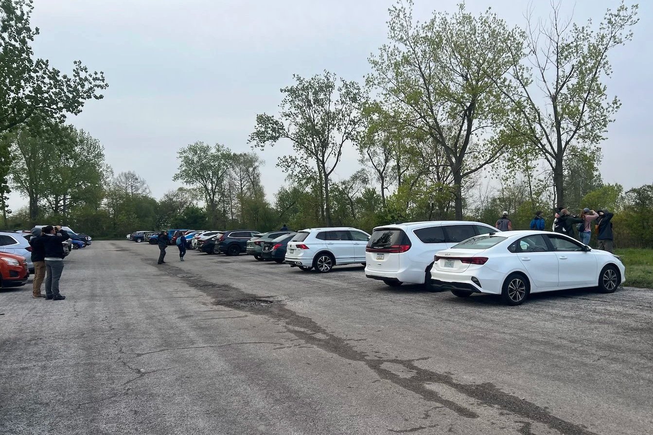 View of parked cars in tre lined parking lot, with four clusters of people standing in different places in the frame, all with binoculars held to their faces, and facing the same direction.