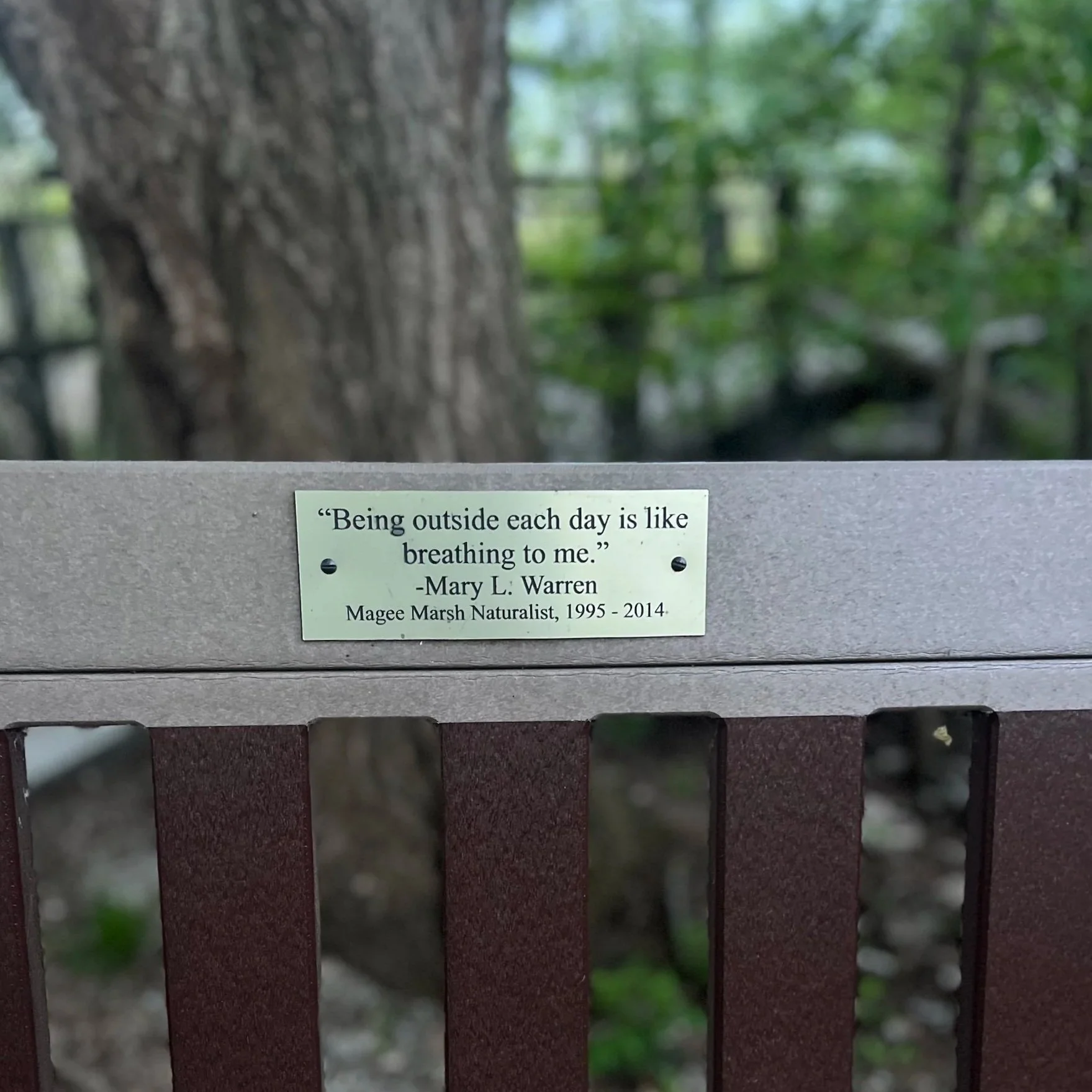 A plaque on a bench reads, "Being outside each day is like breathing to me." quote is from Mary Warren, a Magee Marsh naturalist from 1995 to 2014.