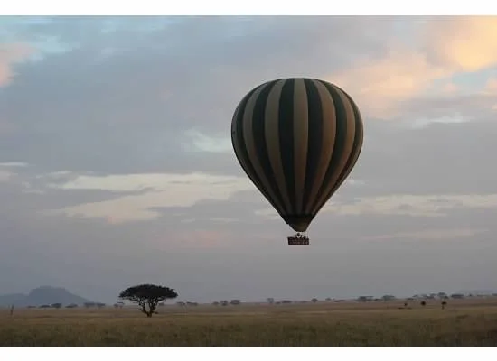 balloon2.jpg