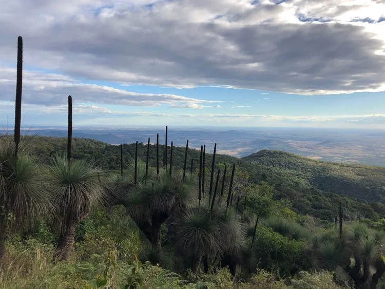Lenten Quiet Day: Transfiguration to Agony