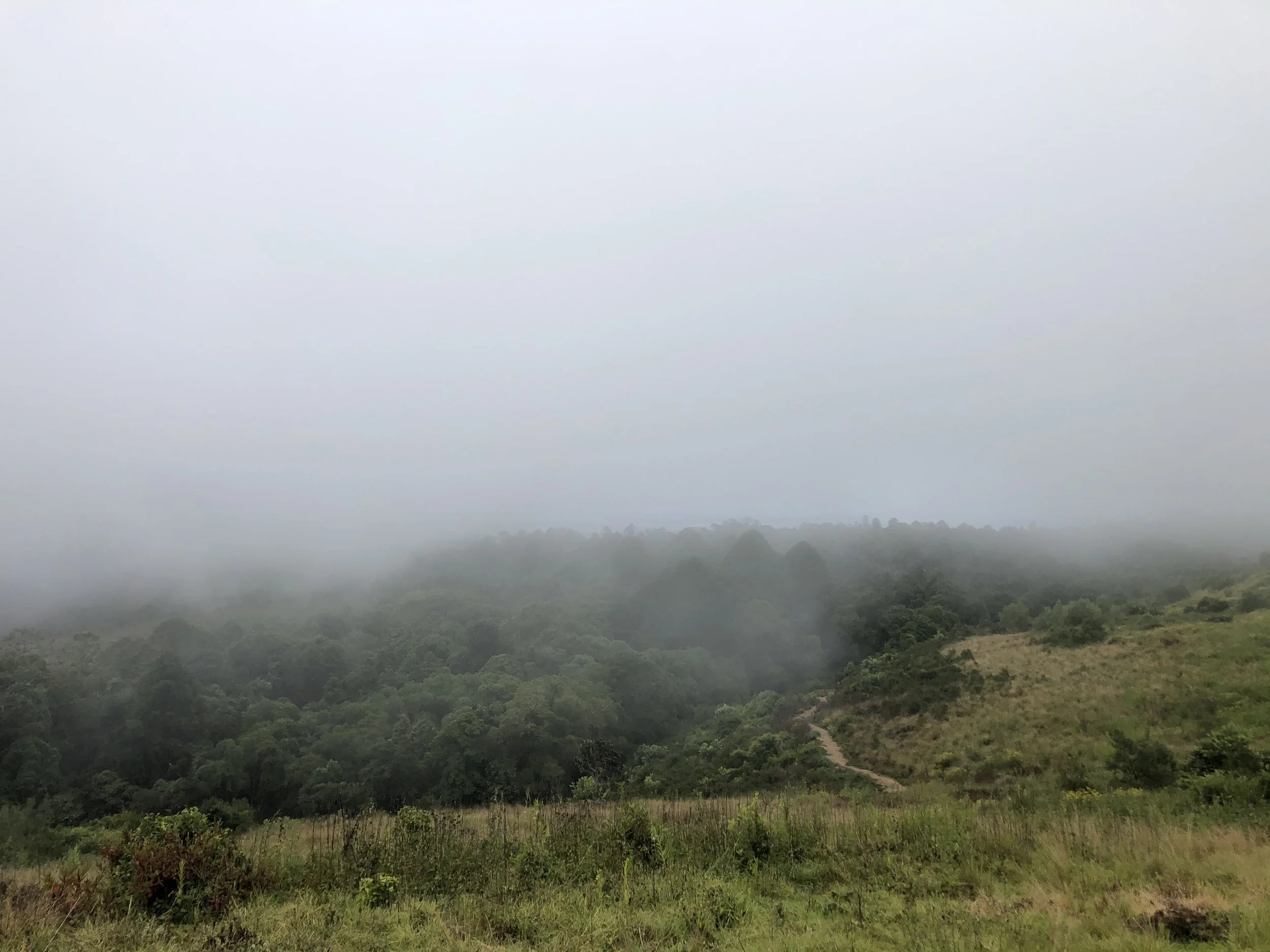 Quiet Morning: Tending the Unseen