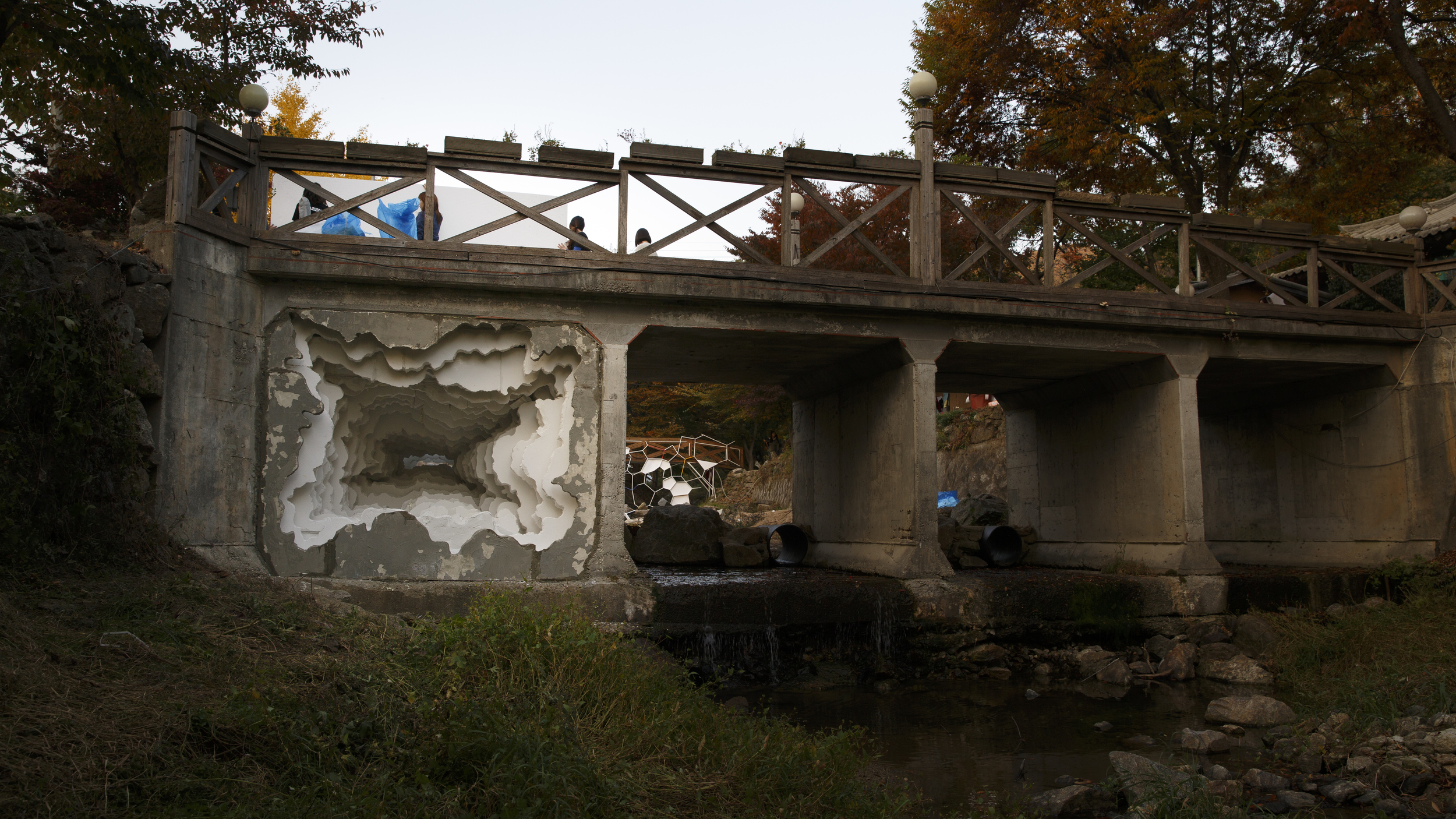 _MG_5287.jpg