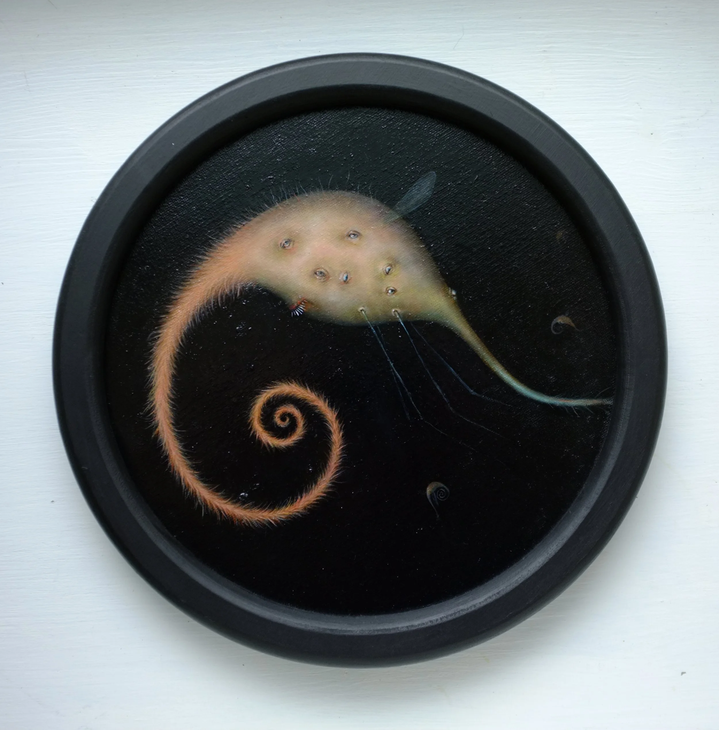 Mosquitodactyl d28cm oil on canvas 2022.jpg