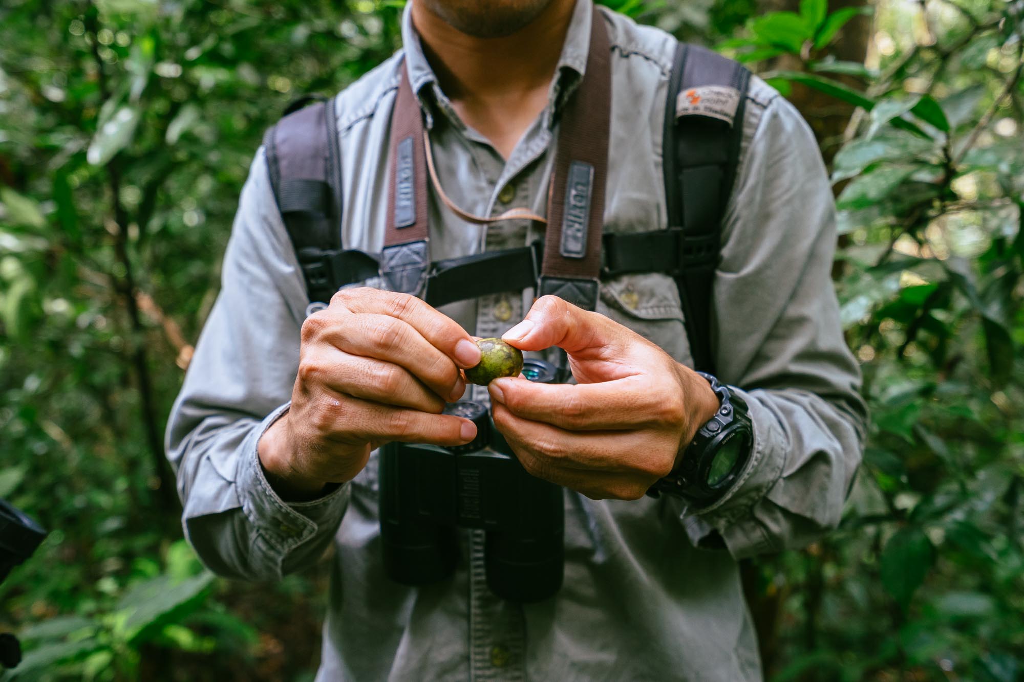 Khao Yai National Park, Thailand