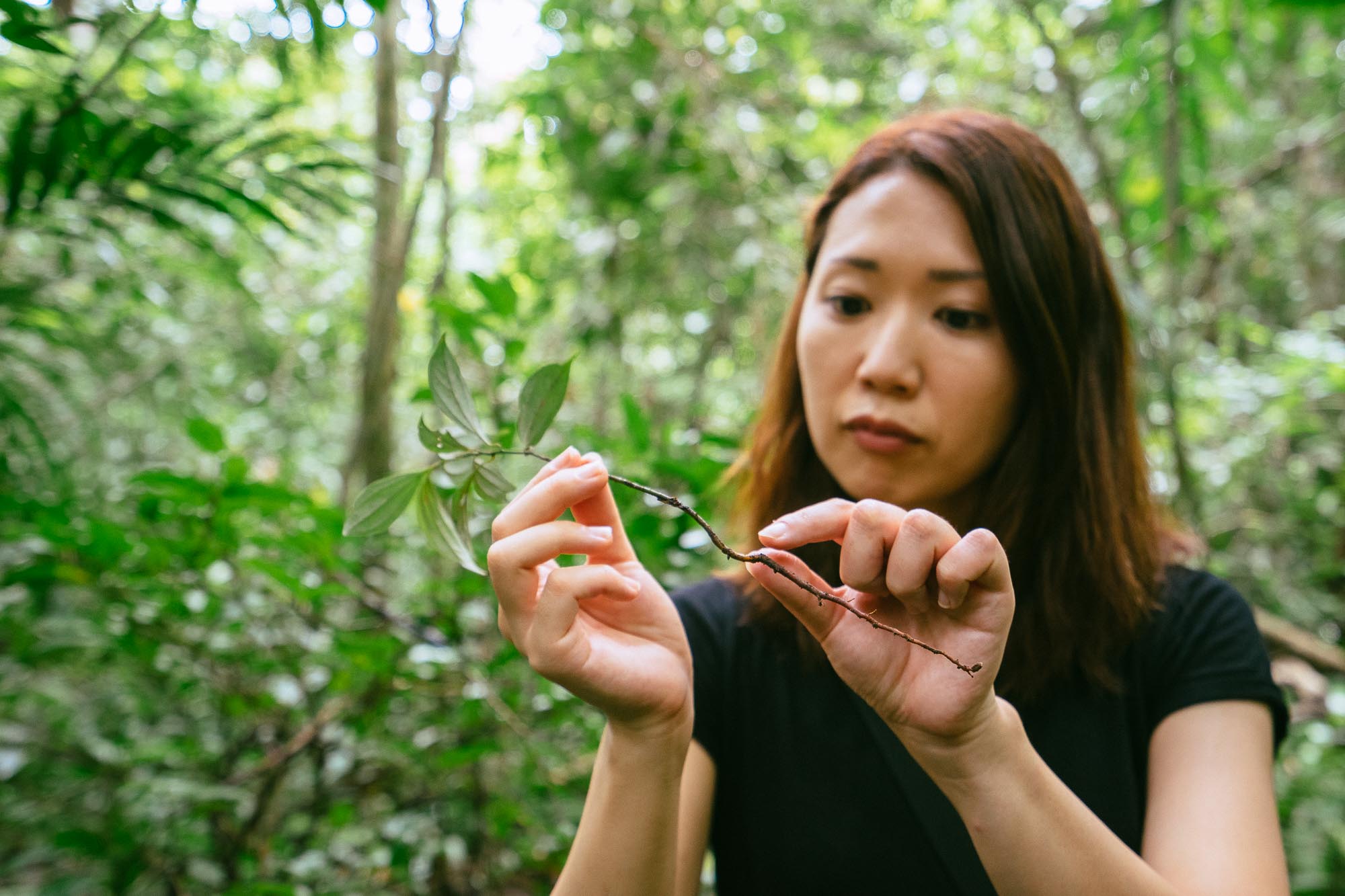 Khao Yai National Park, Thailand