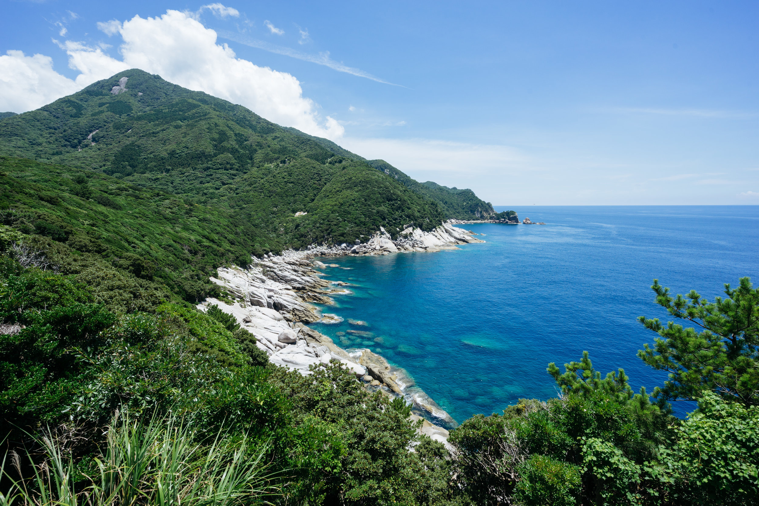 Yakushima Island Landscape