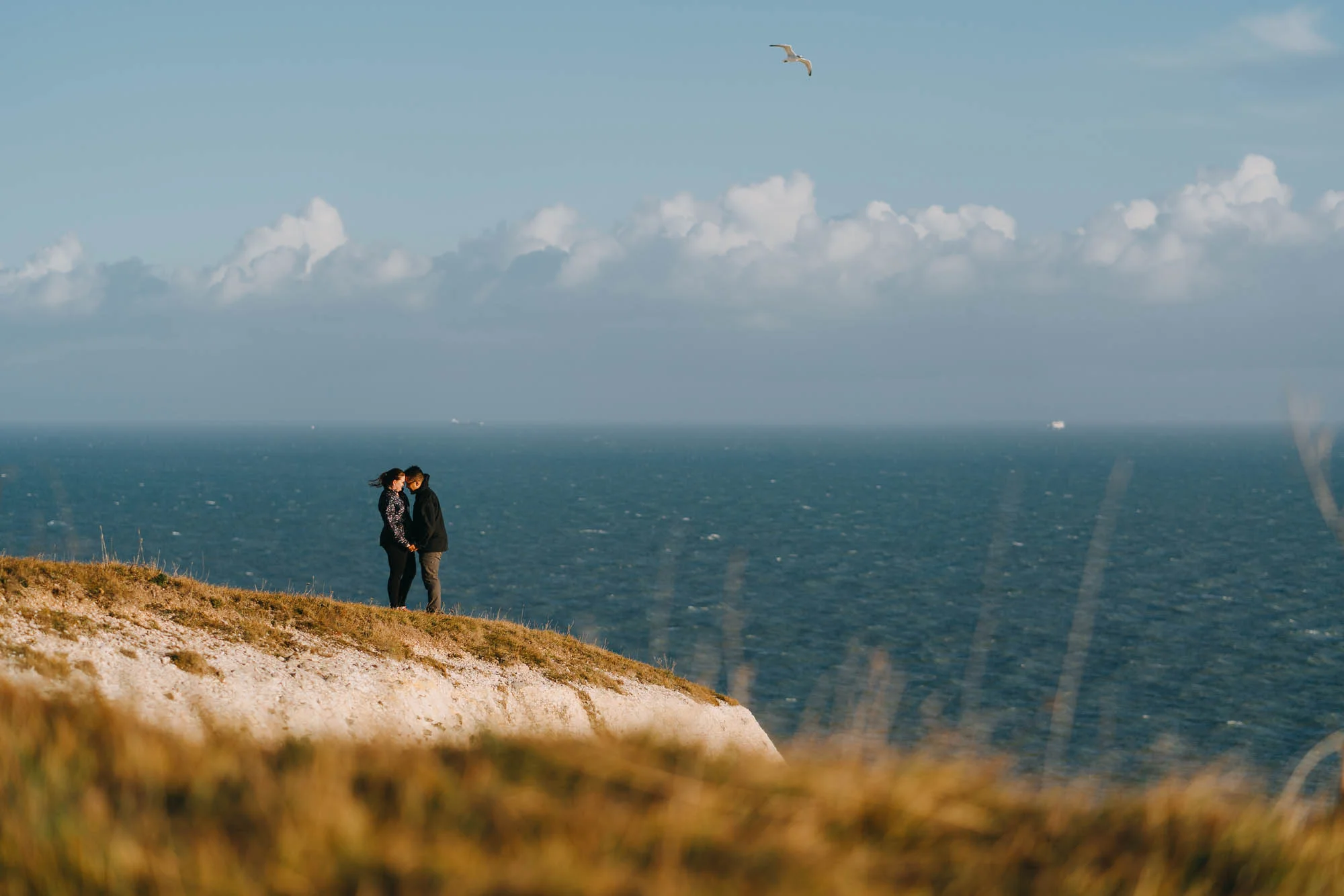 surprise-proposal-photographer-10.jpg