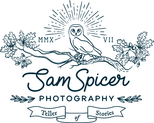 ssp-logo-black-532w-426h.png