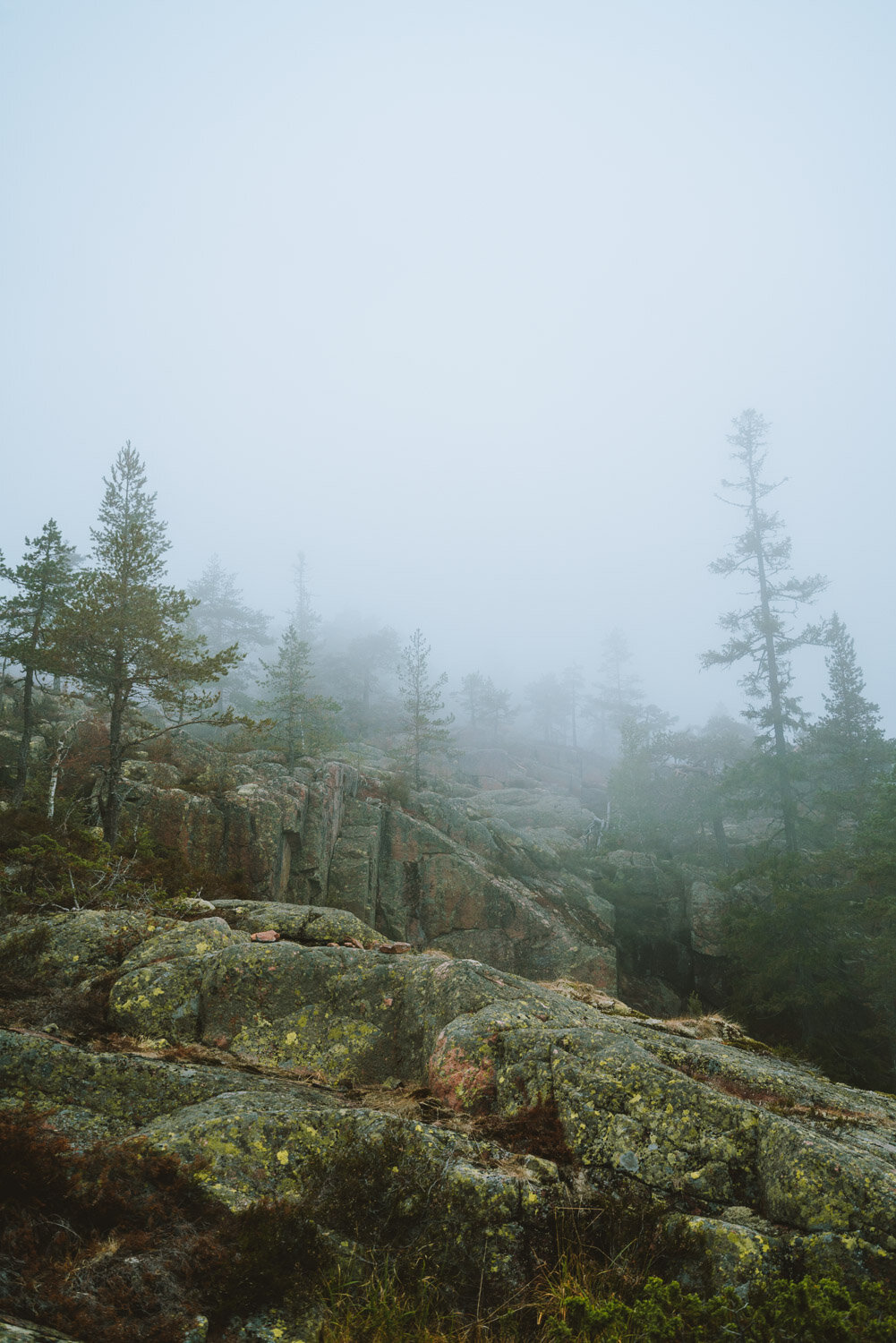 High Coast Hike, Sweden