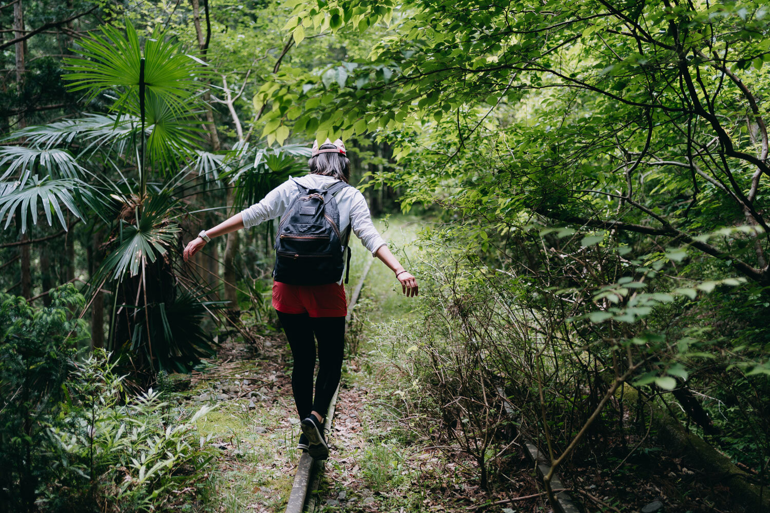 Hiking in Okutama