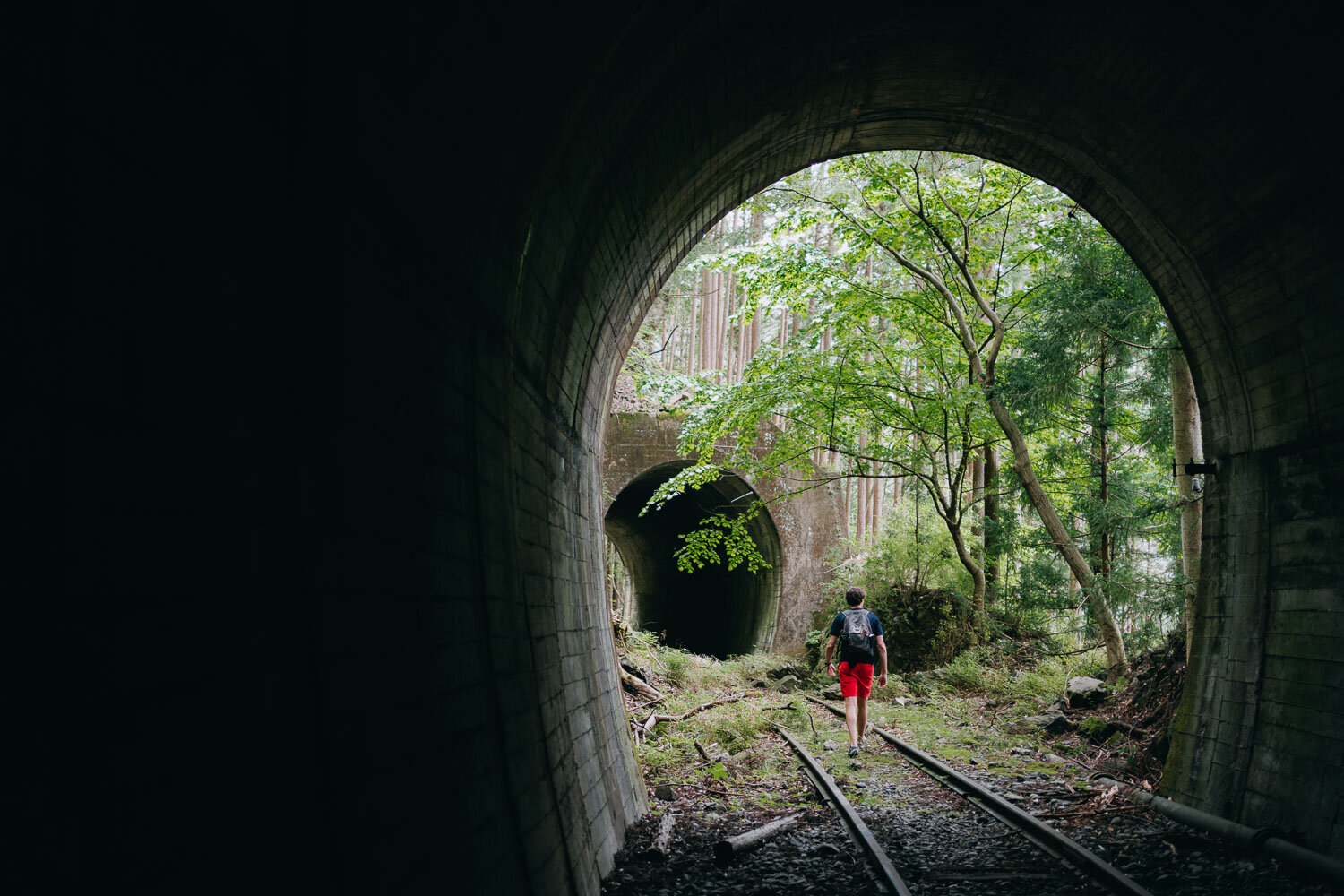 Tokyo day trips | Okutama hiking