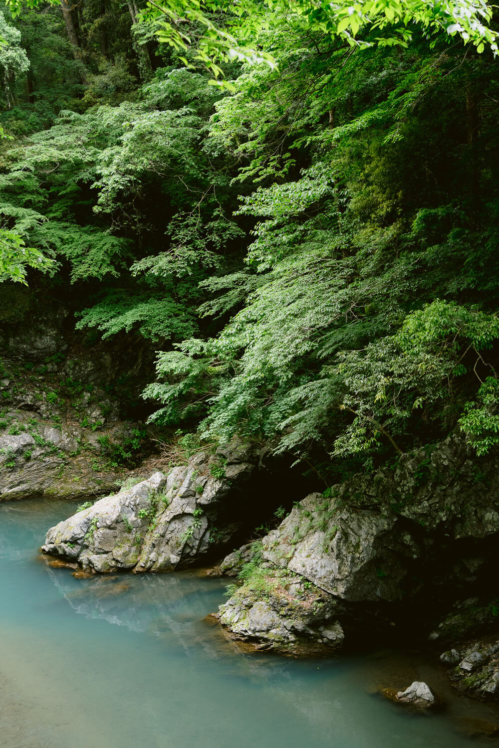 Weekend escape from Tokyo - Nature in Okutama