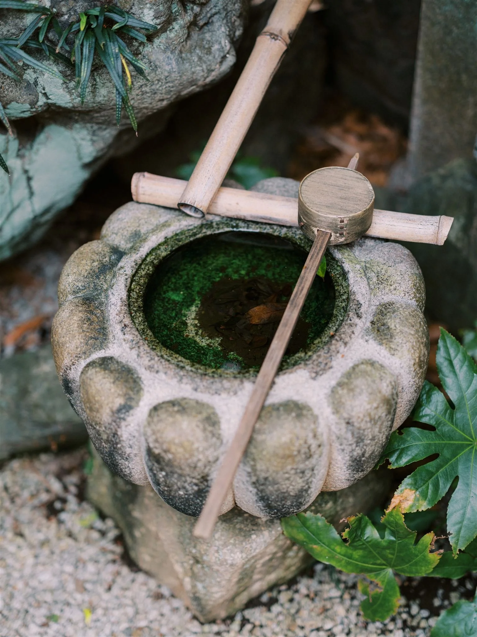 _DSF3063_websize_websize (1).jpg