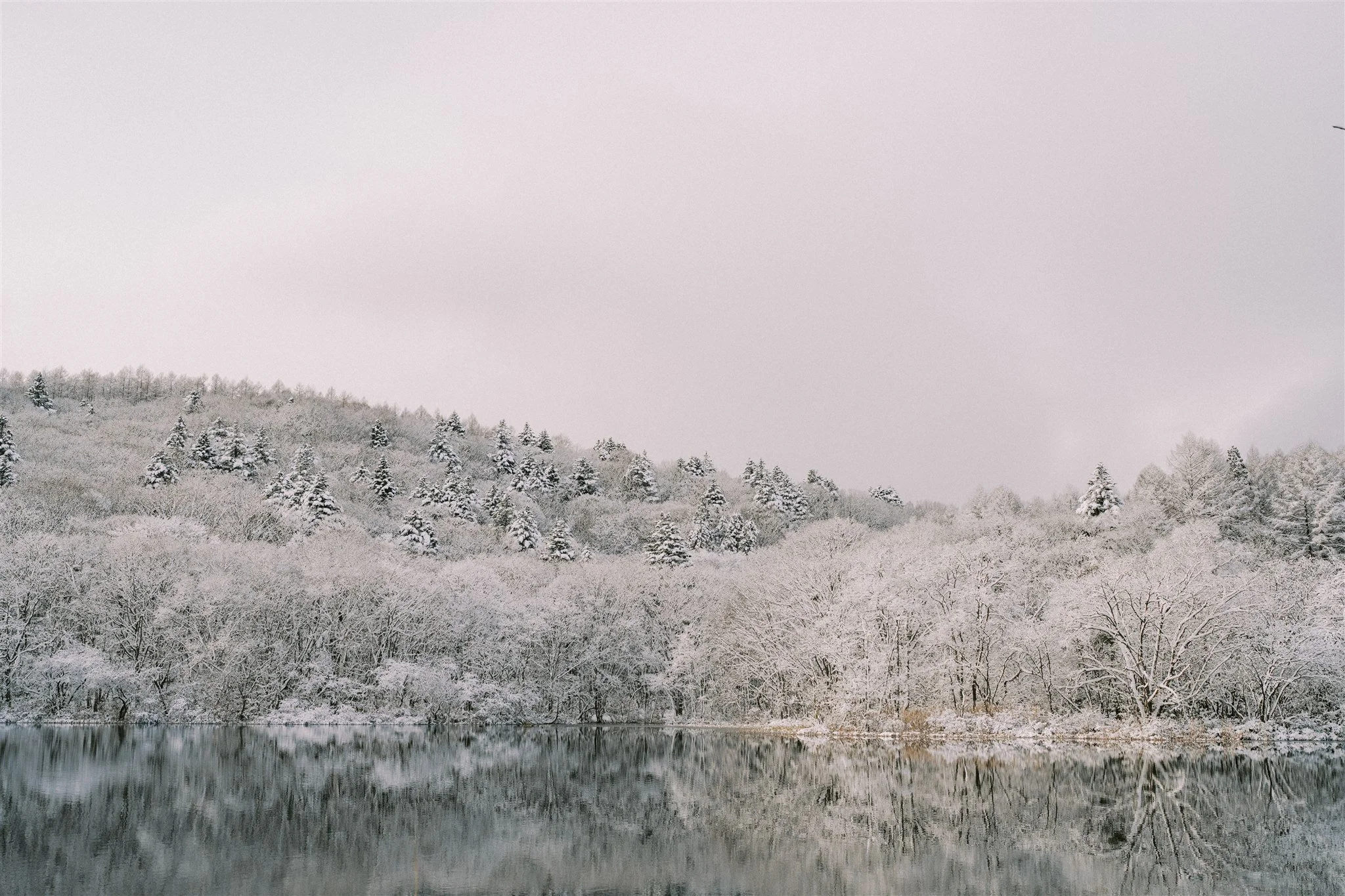 Nagano Landscape Photography