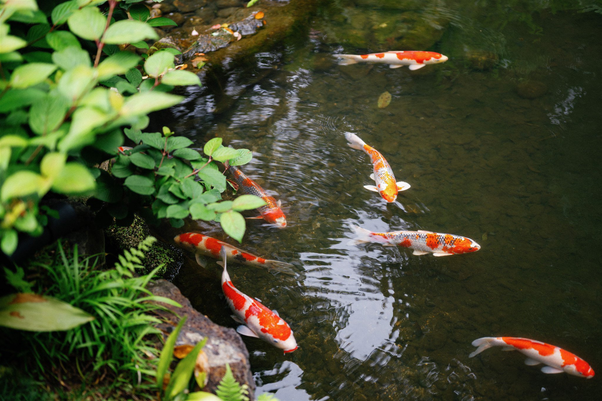 Four Seasons Kyoto Wedding-13.jpg