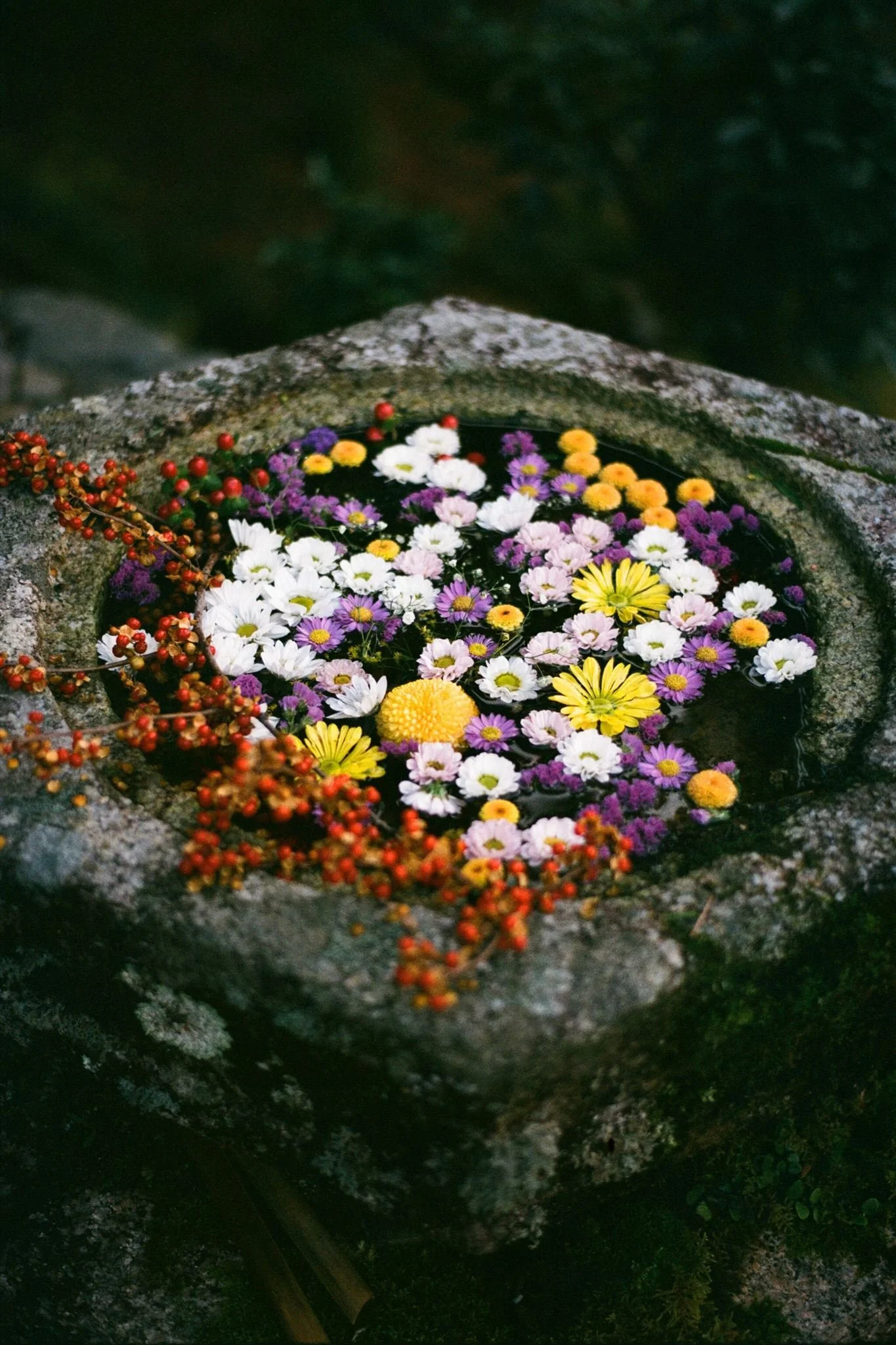 Analogue Film Wedding Photographer japan-63_websize.jpg