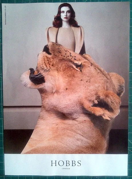 2_22.JPG