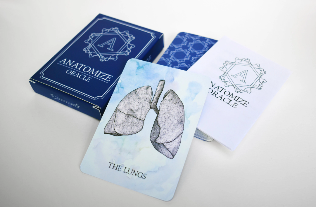 anatomize lungs.png