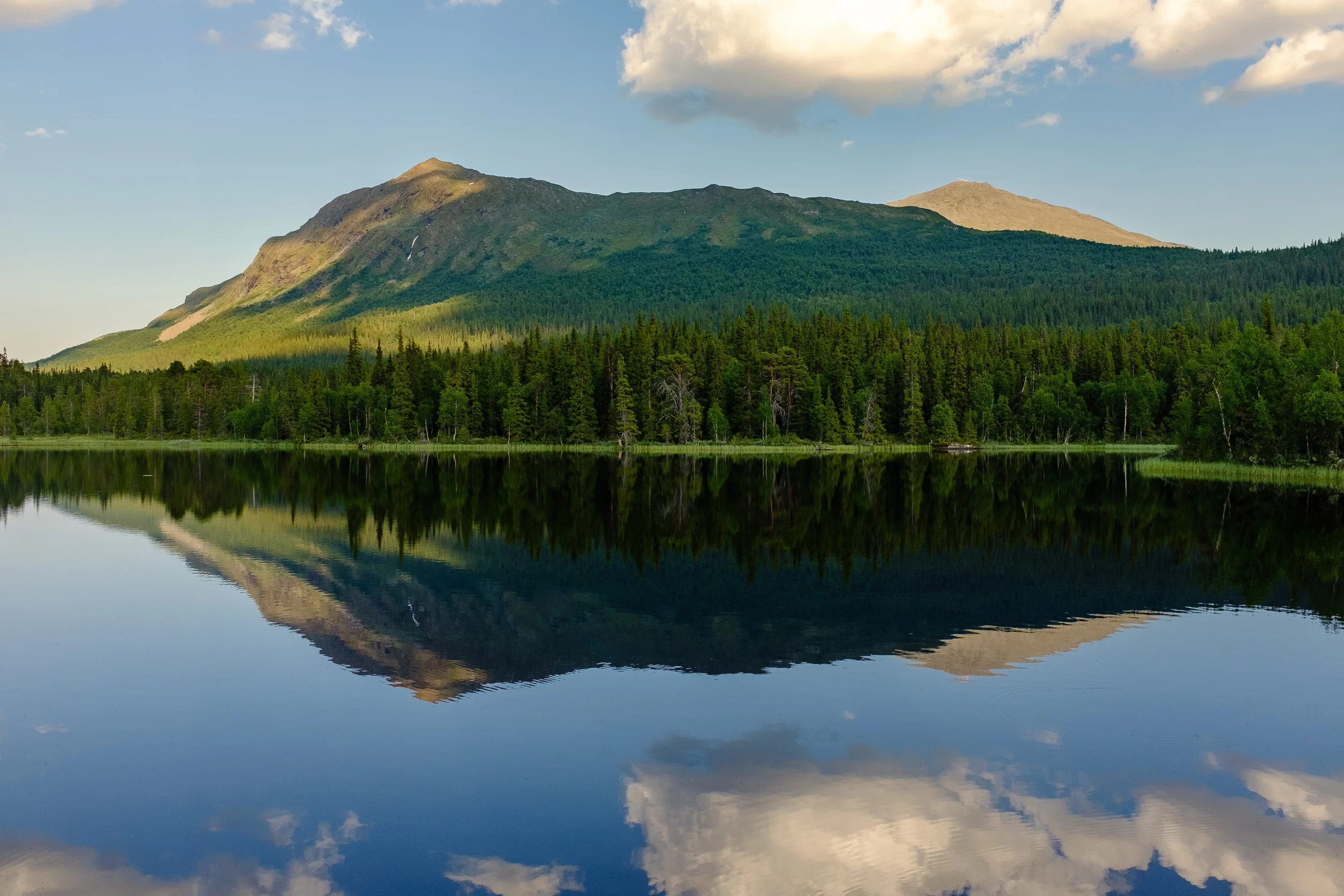 Norrland-5641.jpg