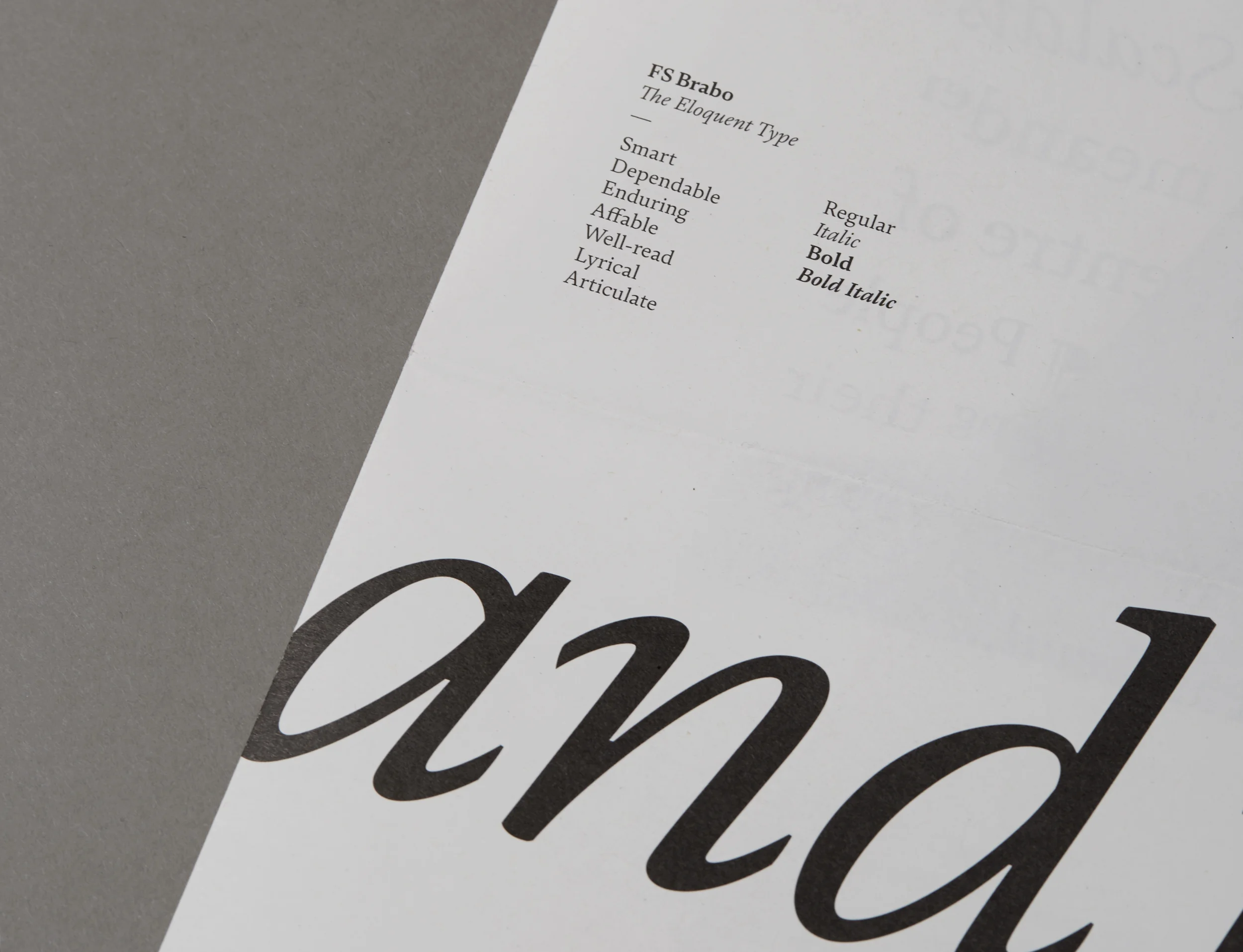 TheCounterPress_Brabo_TheEloquentType_detail.jpg