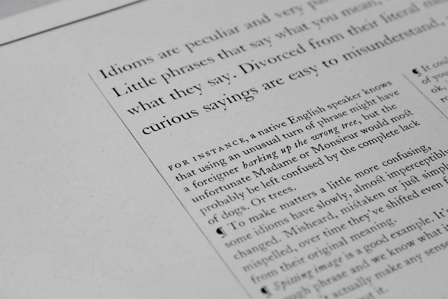 TheCounterPress_EC2_IdiumsTextDetail.jpg