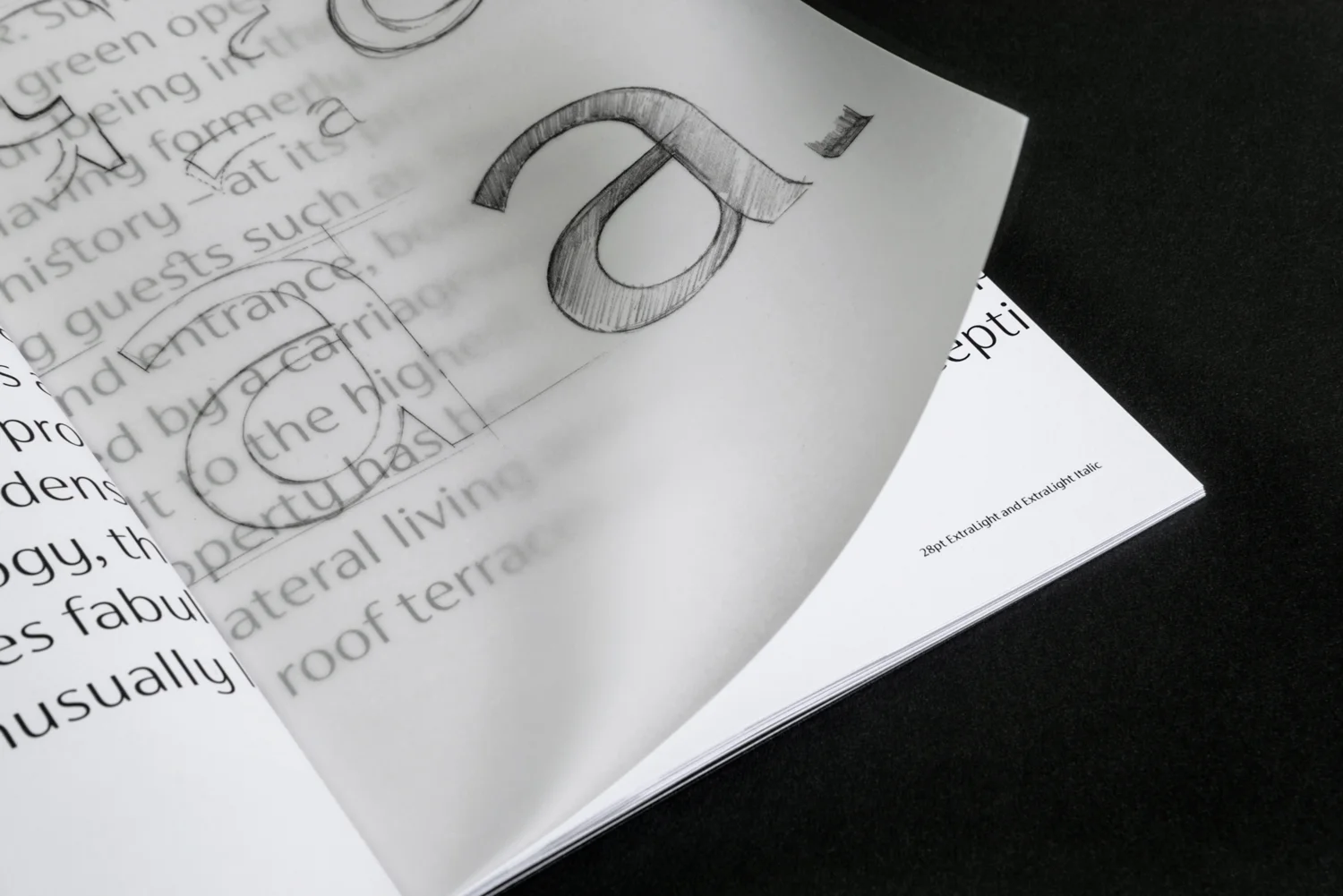 TheCounterPress_SienaSpecimen_Trace.jpg