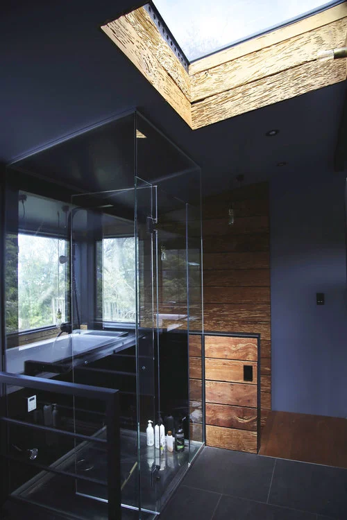 New Build Gregor Hoheisel Lone Kauri Construction - Shower.jpg
