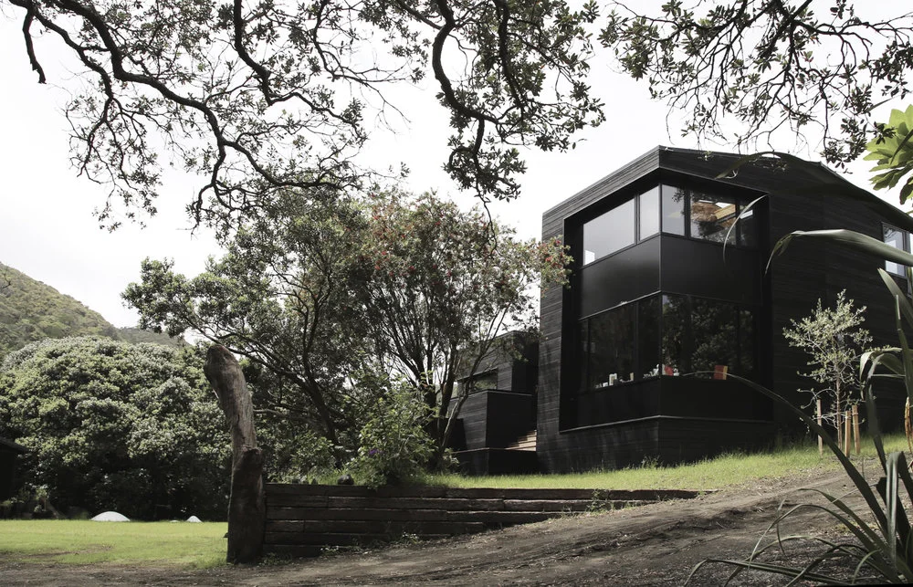 New Build Gregor Hoheisel Lone Kauri Construction External.jpg