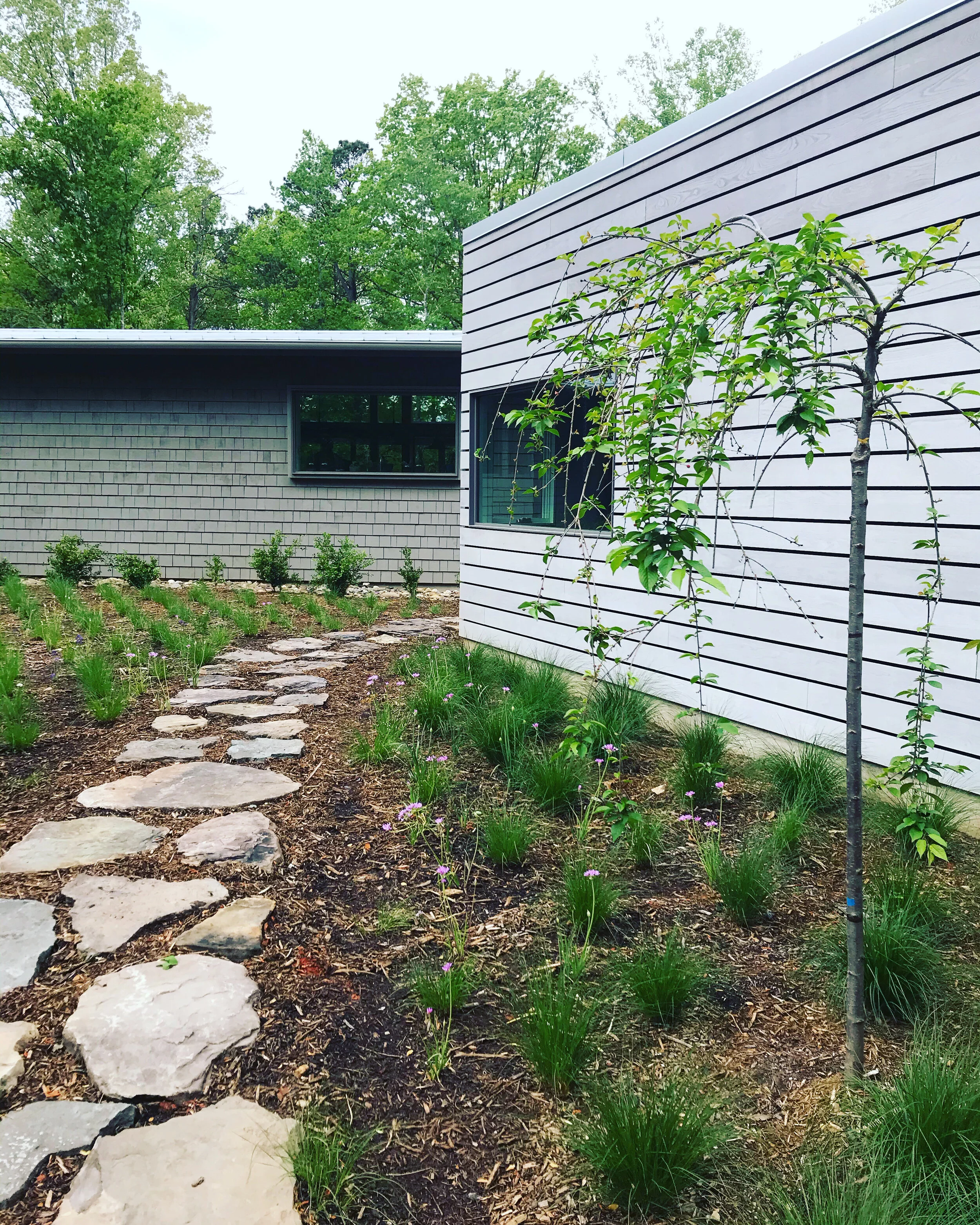 forest design landscaping on Projects Casey Collins