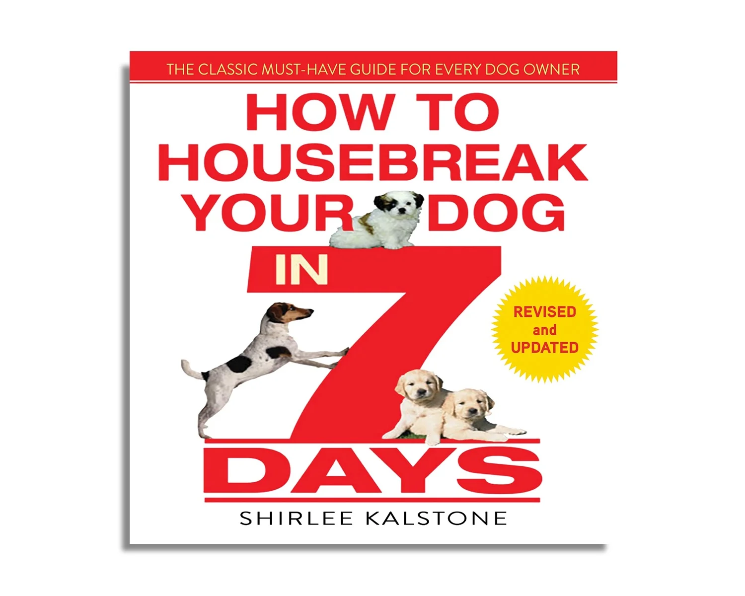 How Do You House Train A Puppy In 7 Days